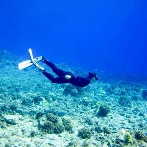 Snorkler dives down to explore the ocean floor