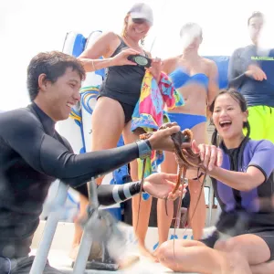 People touch and photograph octopus