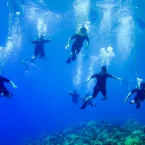 Group of SNUBA Divers underwater in Maui, Hawaii