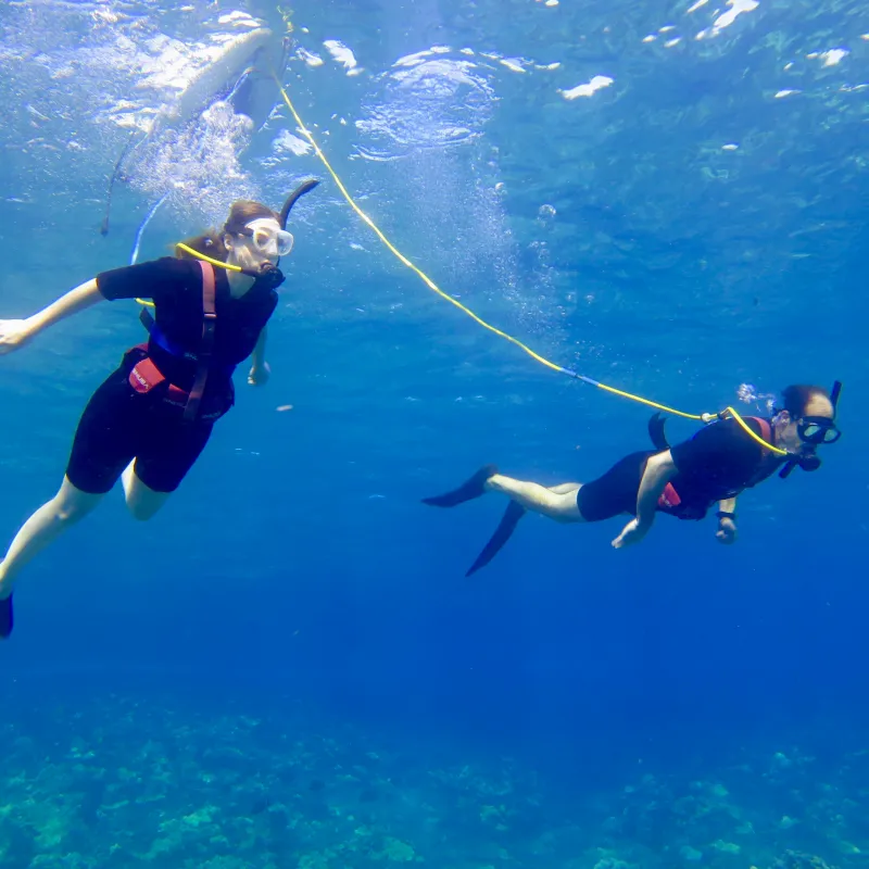 Two SNUBA divers explore the ocean in Maui, Hawaii