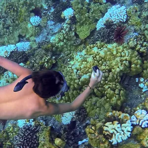 Aerial Capture of Man Swimming With GoPro