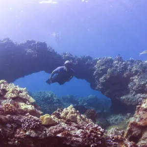 underwater view of a large rock