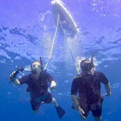 a group of people swimming in the water